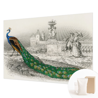 Fotografická tapeta vliesová Farebné perie