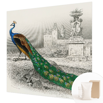 Fotografická tapeta vliesová Farebné perie