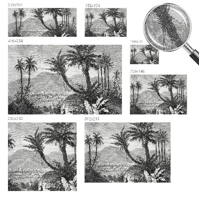 Vliesová fototapeta s potlačou Tropická oáza