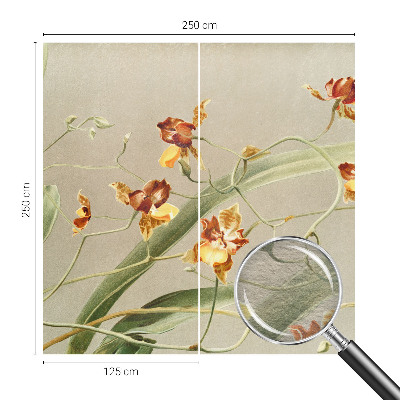 Fototapeta do spálne Klasické orchidey