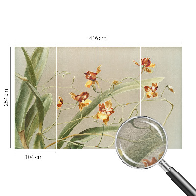 Fototapeta do spálne Klasické orchidey