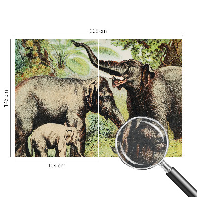 Fototapeta do obývačky Rodinné slony