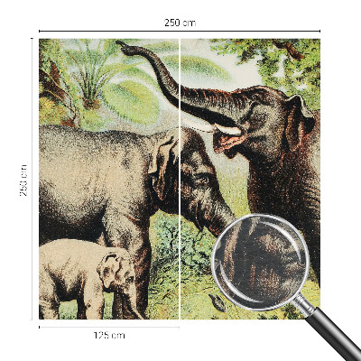 Fototapeta do obývačky Rodinné slony