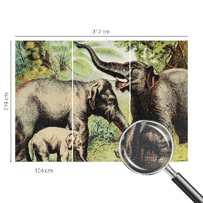 Fototapeta do obývačky Rodinné slony