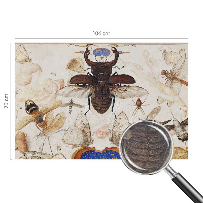 Vliesová fototapeta s potlačou Prirodzená harmónia