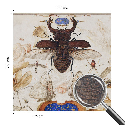 Vliesová fototapeta s potlačou Prirodzená harmónia