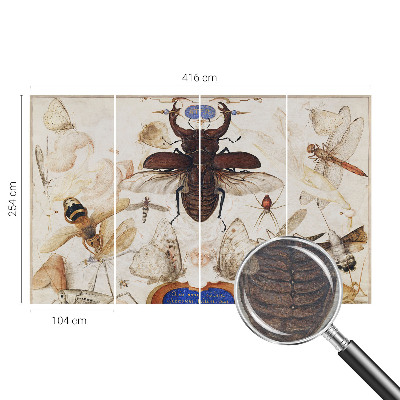 Vliesová fototapeta s potlačou Prirodzená harmónia