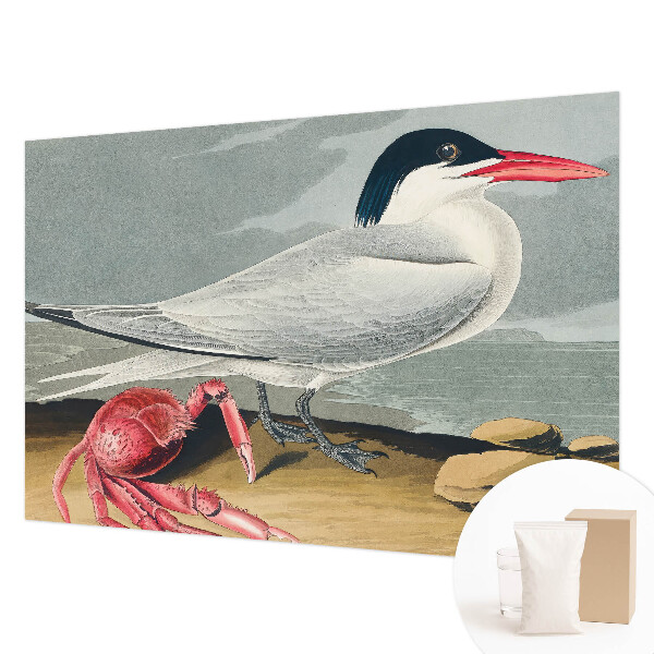 Tapeta na stenu Morská scenéria