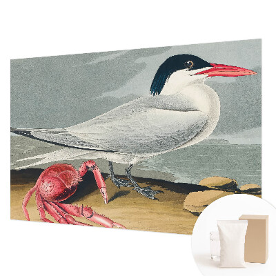 Tapeta na stenu Morská scenéria