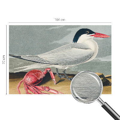 Tapeta na stenu Morská scenéria