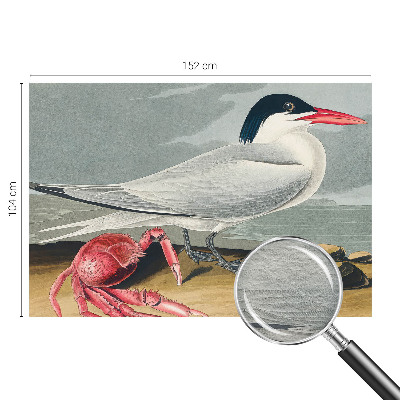 Tapeta na stenu Morská scenéria