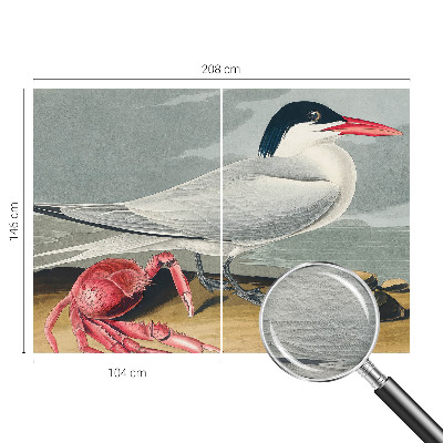 Tapeta na stenu Morská scenéria