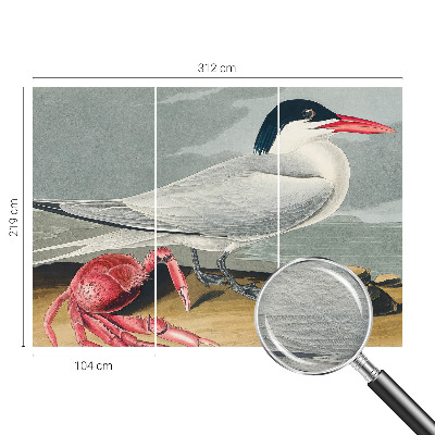 Tapeta na stenu Morská scenéria