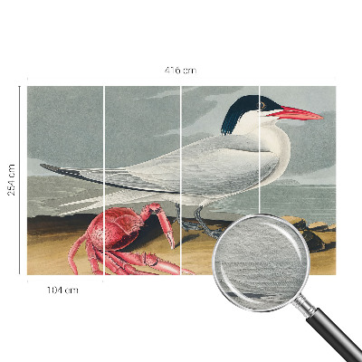 Tapeta na stenu Morská scenéria