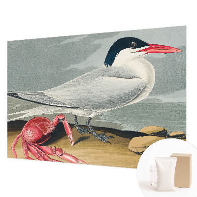 Tapeta na stenu Morská scenéria