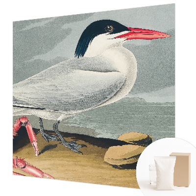 Tapeta na stenu Morská scenéria