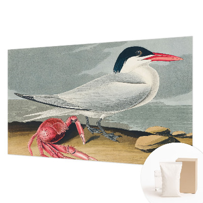 Tapeta na stenu Morská scenéria