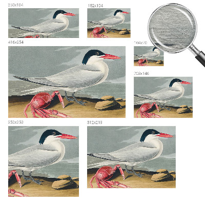 Tapeta na stenu Morská scenéria