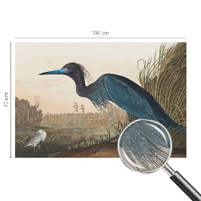 Tapeta na stenu Vodné vtáky