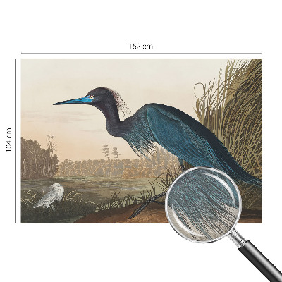 Tapeta na stenu Vodné vtáky