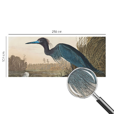 Tapeta na stenu Vodné vtáky