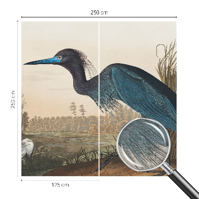 Tapeta na stenu Vodné vtáky