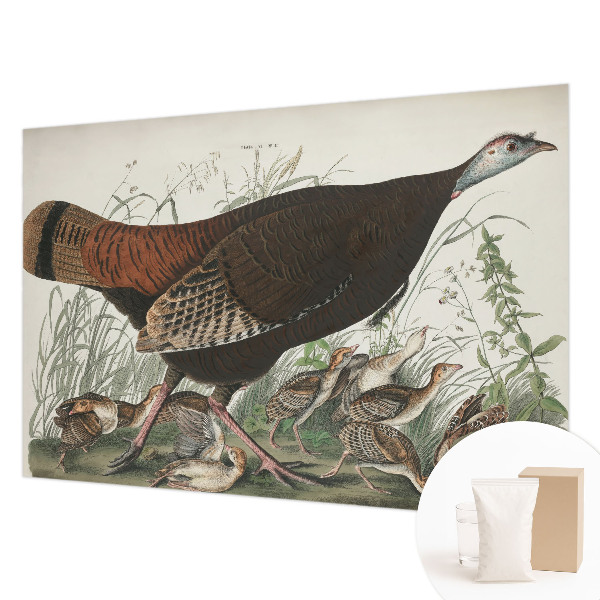 Luxusná tapeta Prirodzená harmónia