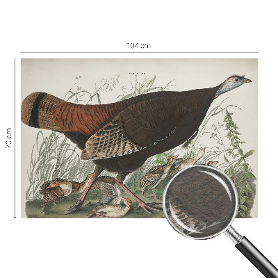 Luxusná tapeta Prirodzená harmónia