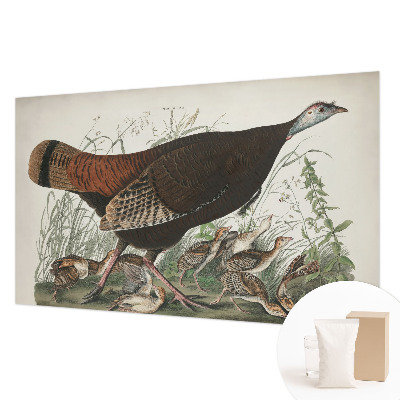 Luxusná tapeta Prirodzená harmónia