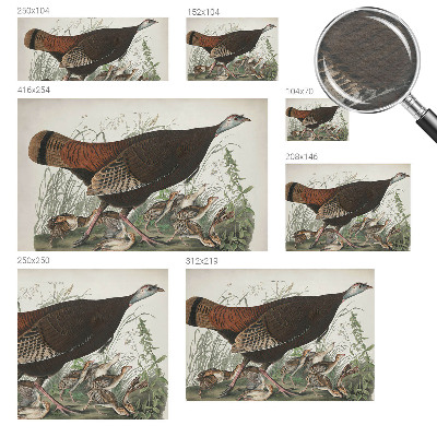 Luxusná tapeta Prirodzená harmónia