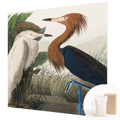 Vliesová fototapeta Vtáky v rastlinách