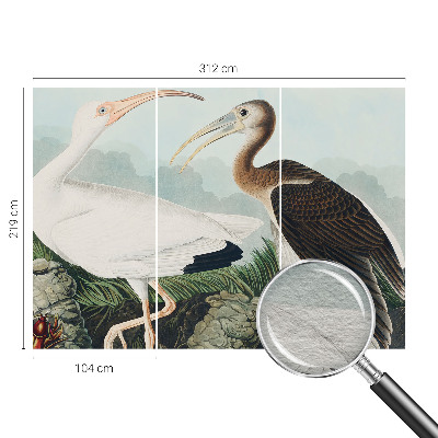 Tapeta Vtáčí pár