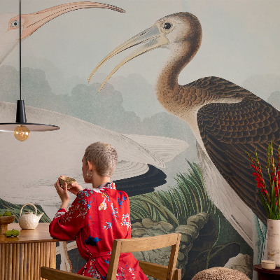 Tapeta Vtáčí pár