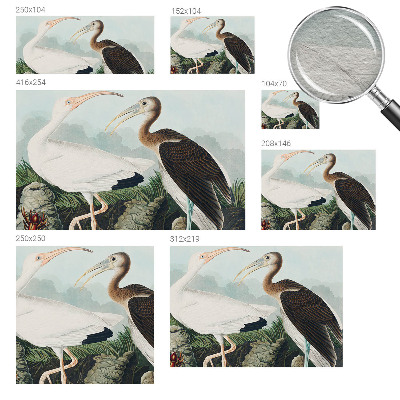 Tapeta Vtáčí pár