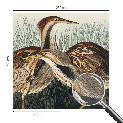 Fototapeta na stenu Realistické vtáky