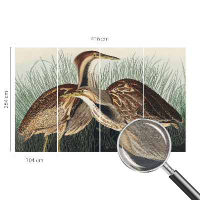 Fototapeta na stenu Realistické vtáky