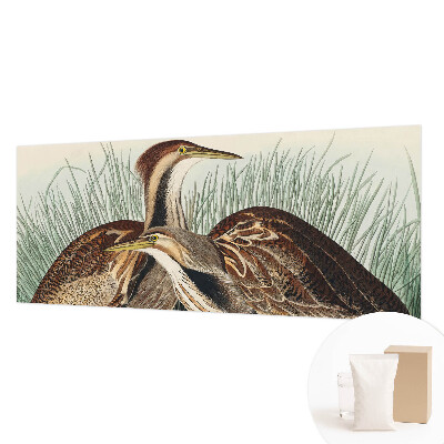 Fototapeta na stenu Realistické vtáky