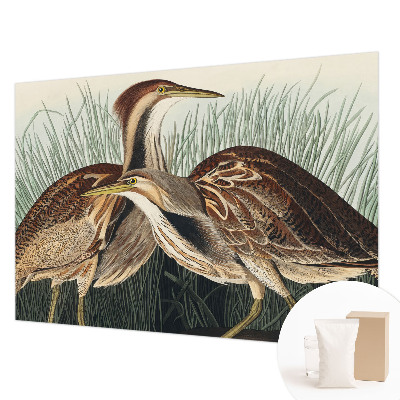 Fototapeta na stenu Realistické vtáky