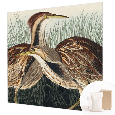 Fototapeta na stenu Realistické vtáky