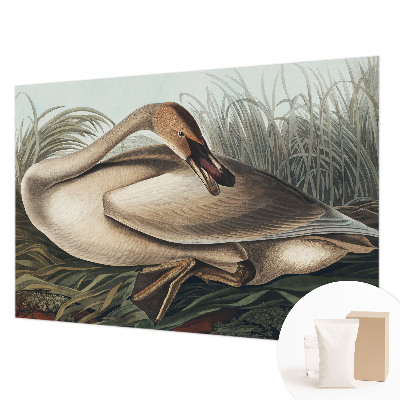 Fototapeta Prírodný vták