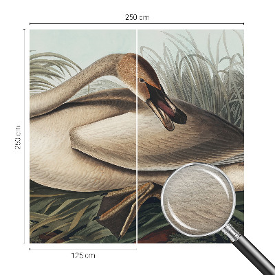 Fototapeta Prírodný vták