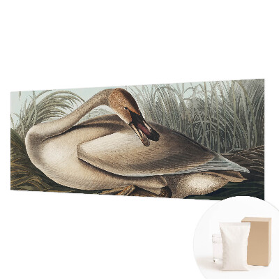 Fototapeta Prírodný vták