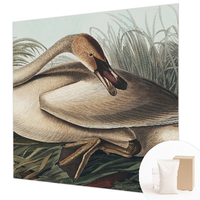 Fototapeta Prírodný vták