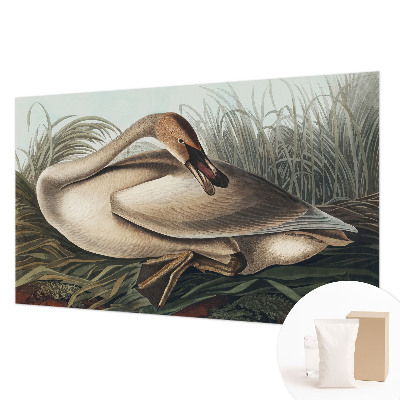 Fototapeta Prírodný vták