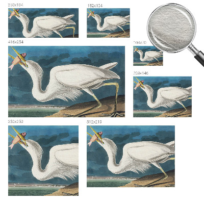 Tapeta Vták s rybou