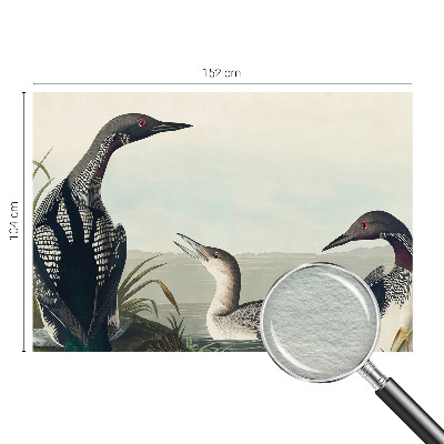 Fototapeta na mieru Vtáky nad vodou