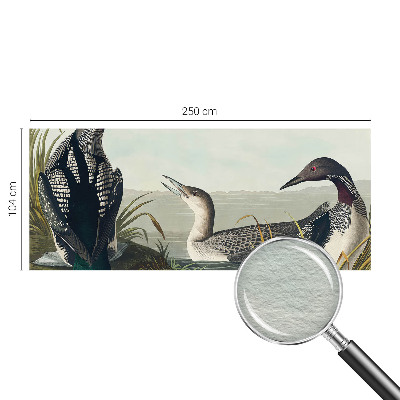 Fototapeta na mieru Vtáky nad vodou