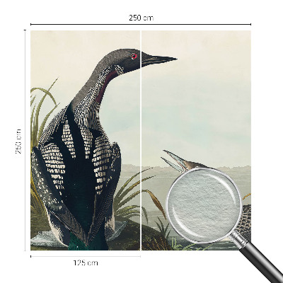 Fototapeta na mieru Vtáky nad vodou