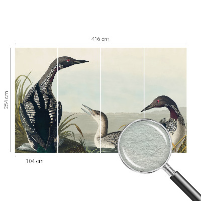 Fototapeta na mieru Vtáky nad vodou