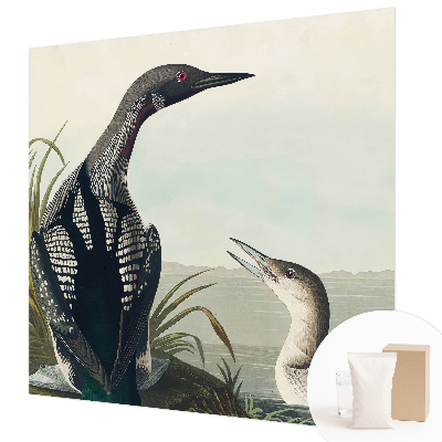 Fototapeta na mieru Vtáky nad vodou